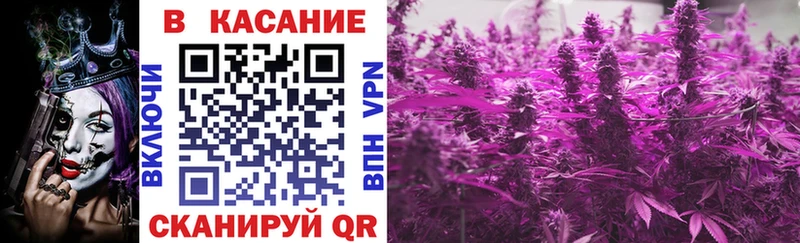 Где купить наркотики Верхняя Пышма Альфа ПВП  Гашиш  Каннабис  КОКАИН 