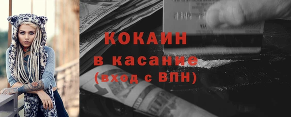 стаф Белокуриха