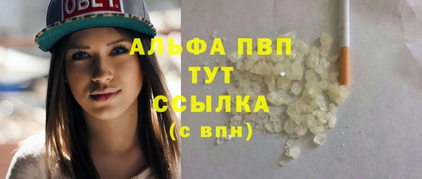 стаф Белокуриха