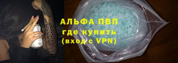 стаф Белокуриха