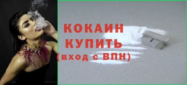 стаф Белокуриха
