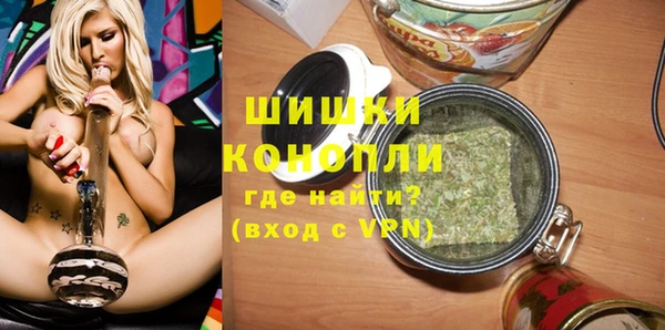 стаф Белокуриха