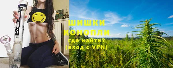 стаф Белокуриха