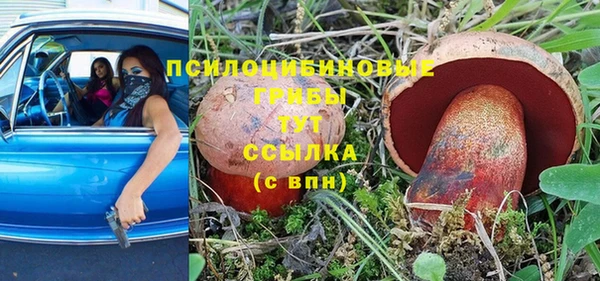 стаф Белокуриха