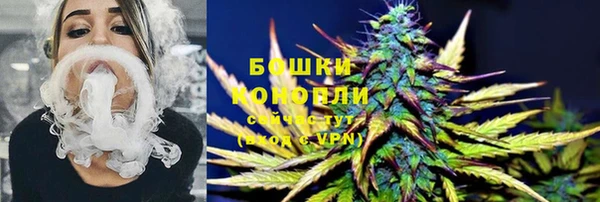 стаф Белокуриха