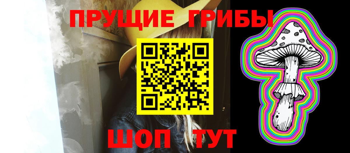 Псилоцибиновые грибы GOLDEN TEACHER  Псилоцибиновые грибы мицелий  наркошоп  Верхняя Пышма  Вход с VPN 