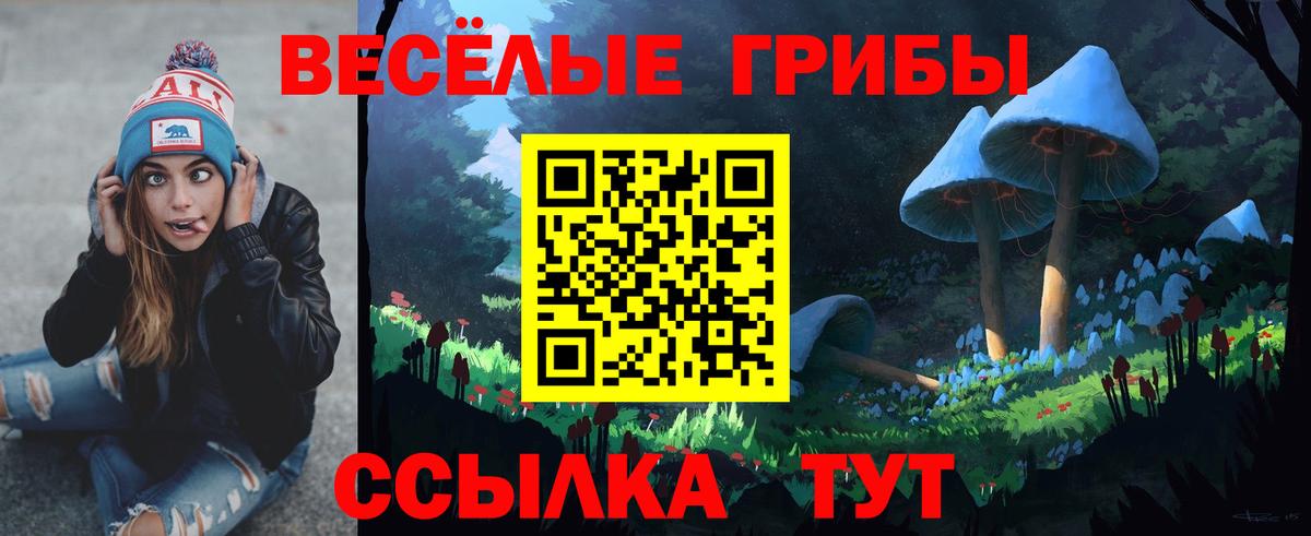 Галлюциногенные грибы Cubensis Верхняя Пышма